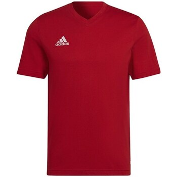 Îmbracaminte Bărbați Tricouri mânecă scurtă adidas Originals Entrada 22 roșu