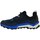 Pantofi Bărbați Drumetie și trekking adidas Originals Terrex AX4 Gtx Albastru marim, Albastre