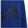 Îmbracaminte Băieți Hanorace  adidas Originals Big Logo JR albastru