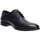 Pantofi Bărbați Pantofi sport Casual Salamander  Negru
