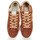Pantofi Bărbați Pantofi sport Casual Caval SLASH BROWN COFFEE Maro / Bej