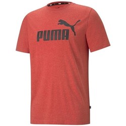 Îmbracaminte Bărbați Tricouri mânecă scurtă Puma Essentials portocaliu