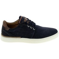 Pantofi Bărbați Pantofi Oxford
 Bullboxer Sneaker 887p21811NACGSU00 Bleu albastru