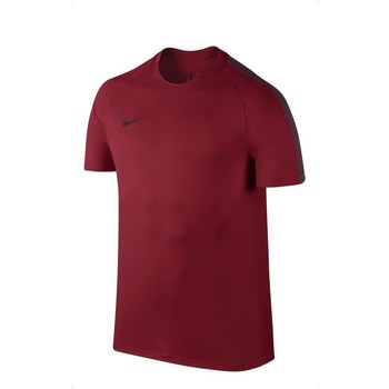 Îmbracaminte Bărbați Tricouri mânecă scurtă Nike Dry Squad Bordo