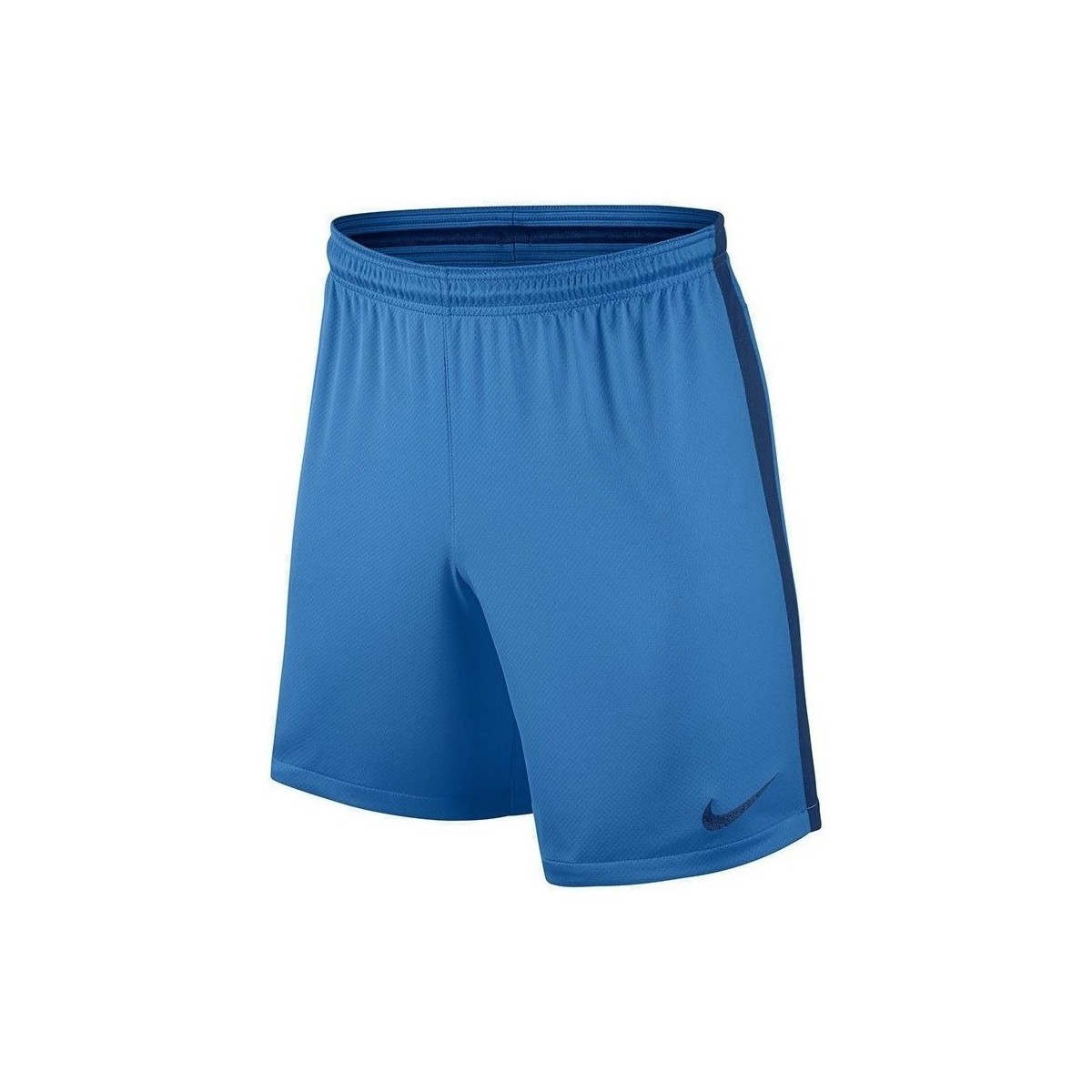 Îmbracaminte Bărbați Pantaloni trei sferturi Nike Squad albastru