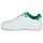 Pantofi Bărbați Pantofi sport Casual Puma PUMA Backcourt Alb / Verde
