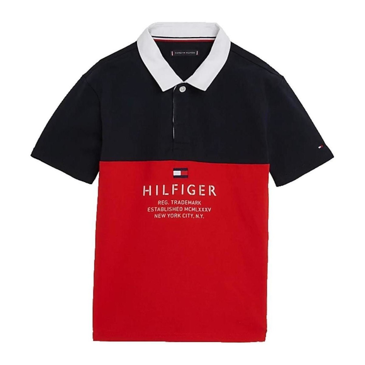 Îmbracaminte Băieți Tricouri mânecă scurtă Tommy Hilfiger  Multicolor