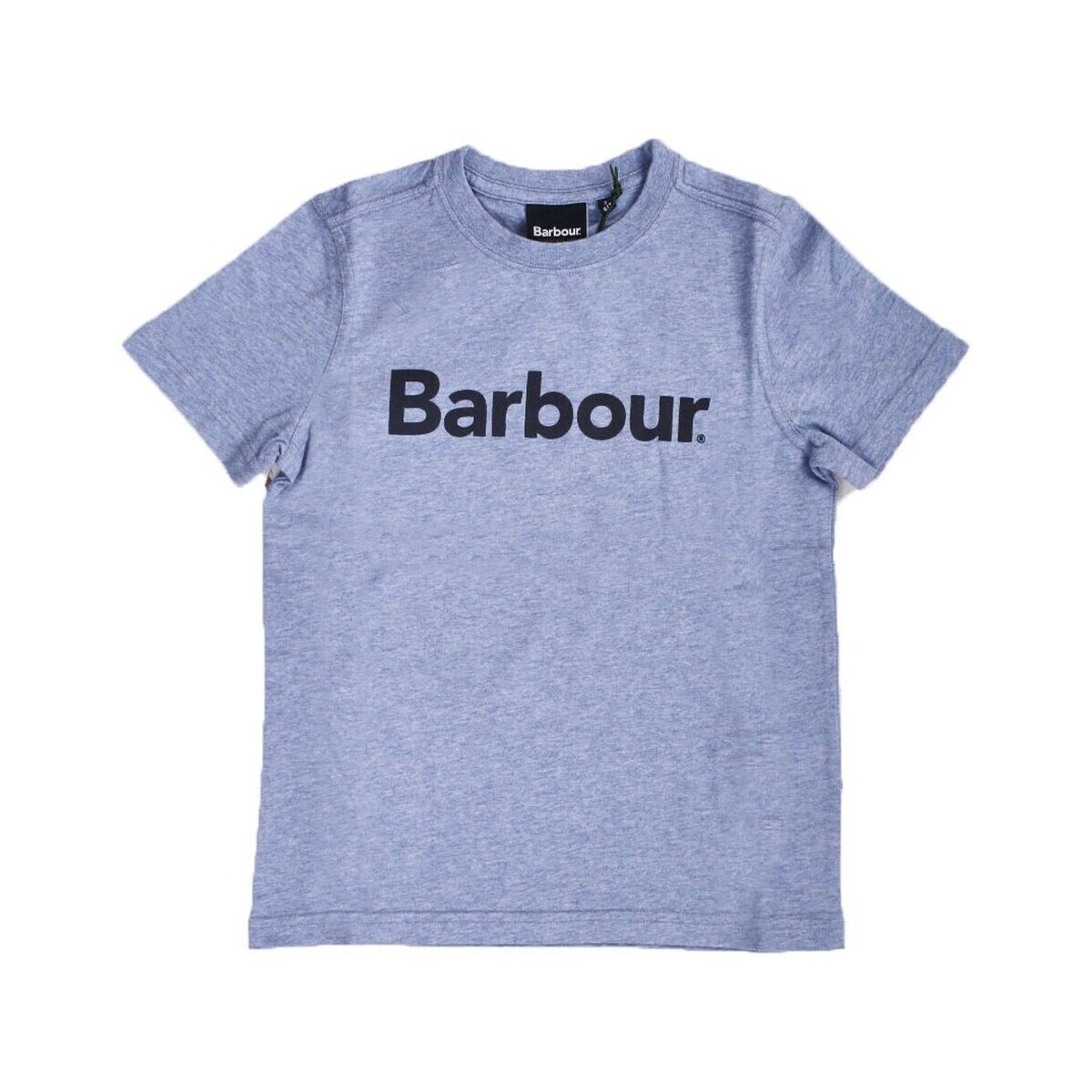 Îmbracaminte Băieți Tricouri mânecă scurtă Barbour CTS0060 albastru