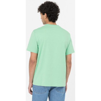 Dickies Ss mapleton t-shirt verde