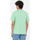 Îmbracaminte Bărbați Tricouri & Tricouri Polo Dickies Ss mapleton t-shirt verde