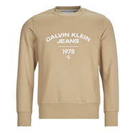 Îmbracaminte Bărbați Hanorace  Calvin Klein Jeans VARSITY CURVE CREW NECK Bej