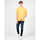 Îmbracaminte Bărbați Tricouri mânecă scurtă Pepe jeans PM508536 | Treyson galben