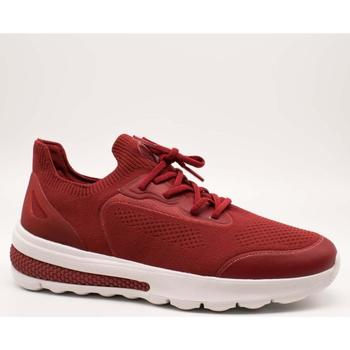 Pantofi Bărbați Pantofi sport Casual Geox  roșu