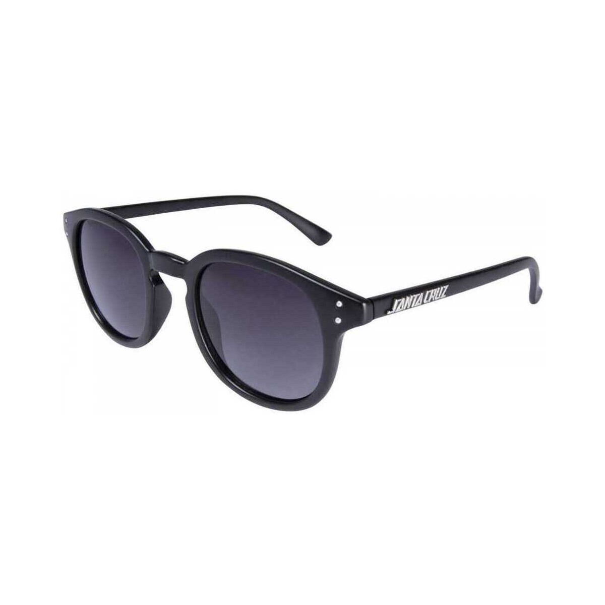 Ceasuri & Bijuterii Bărbați Ocheleri de soare  Santa Cruz Watson sunglasses Negru
