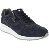 Pantofi Bărbați Sneakers Valleverde VV-36871 albastru