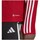 Îmbracaminte Bărbați Hanorace  adidas Originals Tiro 23 League Training roșu