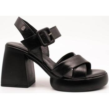 Pantofi Femei Sandale
 Carmela  Negru