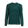 Îmbracaminte Femei Topuri și Bluze Only ONLKACEY FR L/S HIGH NECK TOP PTM Verde