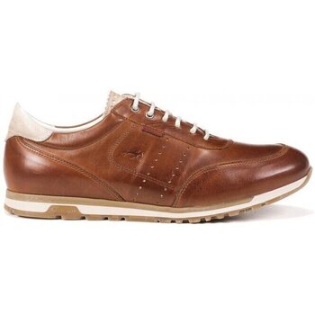 Pantofi Bărbați Pantofi Oxford
 Fluchos Sander F1186  Cuero Altă culoare