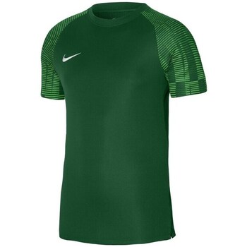 Îmbracaminte Băieți Tricouri mânecă scurtă Nike Academy verde