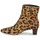 Pantofi Femei Botine Lauren Ralph Lauren WILLA-BOOTS-BOOTIE Coniac