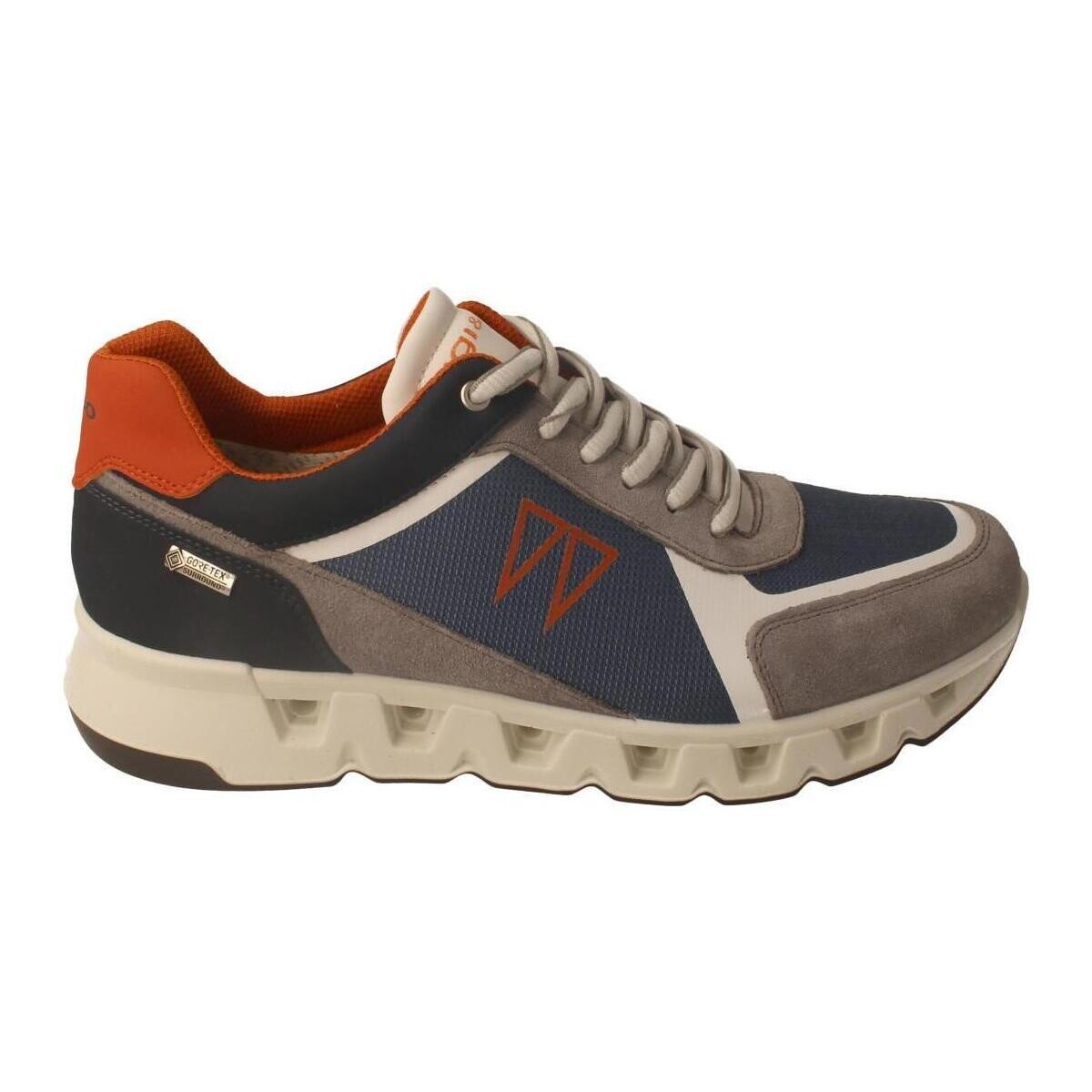 Pantofi Bărbați Pantofi sport Casual IgI&CO  albastru