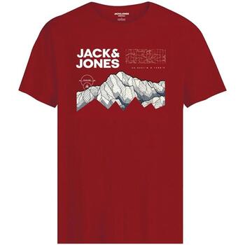 Îmbracaminte Băieți Tricouri mânecă scurtă Jack & Jones  roșu