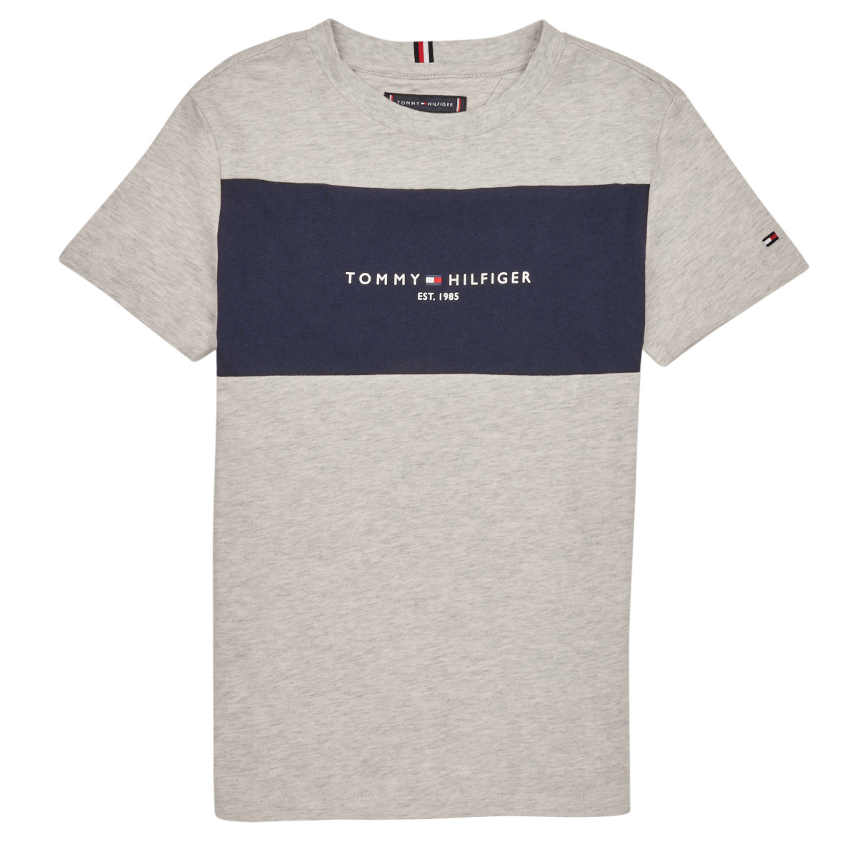 Îmbracaminte Băieți Tricouri mânecă scurtă Tommy Hilfiger ESSENTIAL COLORBLOCK TEE S/S Gri
