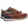 Pantofi Bărbați Pantofi Oxford
 Pikolinos Berna M8J-4366 Cuero Altă culoare