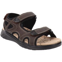 Pantofi Bărbați Sandale
 Axa -67120A Maro