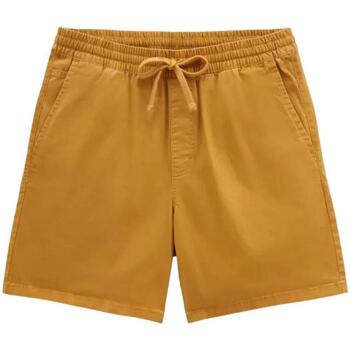 Îmbracaminte Bărbați Pantaloni scurti și Bermuda Vans  galben