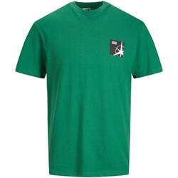 Îmbracaminte Bărbați Tricouri mânecă scurtă Jack & Jones  verde