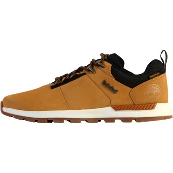 Pantofi Bărbați Pantofi sport Casual Timberland 214856 galben