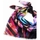 Accesorii textile Femei Esarfe / Ș aluri / Fulare Desigual FOU_BEACHTIME Multicolor