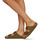 Pantofi Femei Papuci de vară Birkenstock ARIZONA Verde