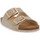 Pantofi Femei Papuci de vară Grunland PLATINO 40 SARA Bej