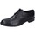 Pantofi Bărbați Pantofi Oxford
 Bruno Verri BC265 Negru