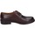 Pantofi Bărbați Pantofi Oxford
 Bruno Verri BC267 Maro