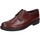 Pantofi Bărbați Pantofi Oxford
 Bruno Verri BC269 Maro