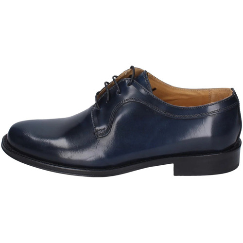 Pantofi Bărbați Pantofi Oxford
 Bruno Verri BC289 albastru