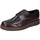 Pantofi Bărbați Pantofi Oxford
 Bruno Verri BC292 Maro