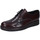 Pantofi Bărbați Pantofi Oxford
 Bruno Verri BC301 506 Bordo