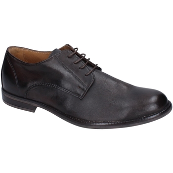 Pantofi Bărbați Pantofi Oxford
 Bruno Verri BC338 Maro