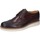 Pantofi Bărbați Pantofi Oxford
 Bruno Verri BC528 Maro