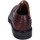 Pantofi Bărbați Pantofi Oxford
 Bruno Verri BC529 Bordo