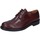 Pantofi Bărbați Pantofi Oxford
 Bruno Verri BC529 Bordo