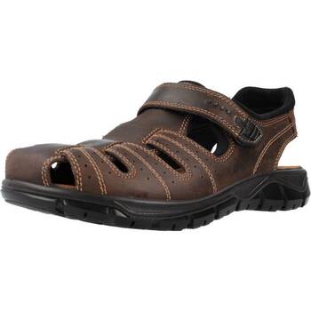 Pantofi Bărbați Sandale IgI&CO 3641211 Maro