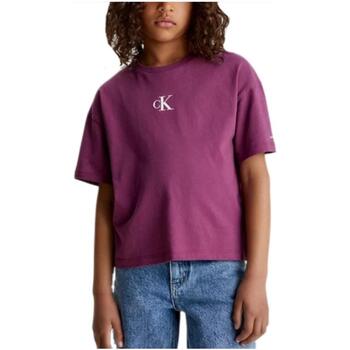 Îmbracaminte Fete Tricouri mânecă scurtă Calvin Klein Jeans  violet