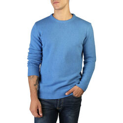 Îmbracaminte Bărbați Pulovere 100% Cashmere Jersey albastru