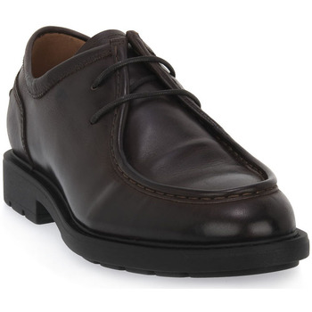 Pantofi Bărbați Mocasini NeroGiardini NERO GIARDINI  301 KENIA CAFFE Maro